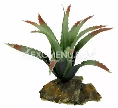 LUCKY REPTILE Декоративное растение для террариума "Tillandsia", зеленое с красным, 20см (Германия)