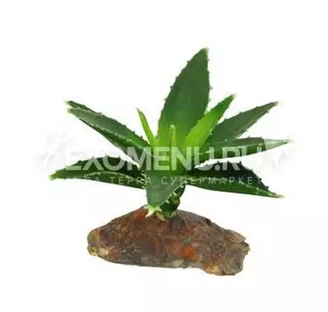 LUCKY REPTILE Декоративное растение для террариумов "Agava", 10см (Германия)