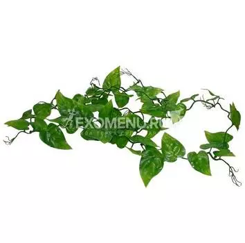LUCKY REPTILE Декоративное растение для террариумов "Philo Vine", 200см (Германия)