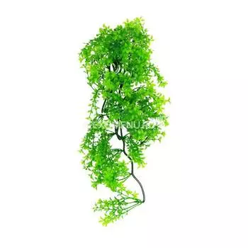 LUCKY REPTILE Декоративное растение для террариумов "Turtle Plant Ceratopteris", 40см (Германия)