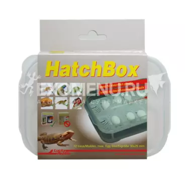 LUCKY REPTILE Контейнер для инкубации яиц "HatchBox", 17х11см (Германия)