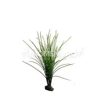 LUCKY REPTILE Растение для террариумов декоративное "Congo Grass ", 50 см (Германия)
