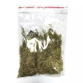 Мох Сфагнум