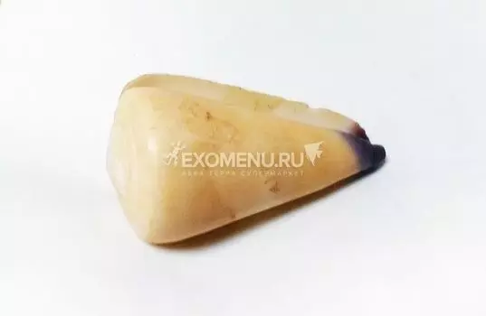 Морская раковина Конус Вирго малый 6 см