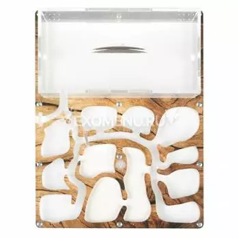 Муравьиная ферма Премиум "Дерево"