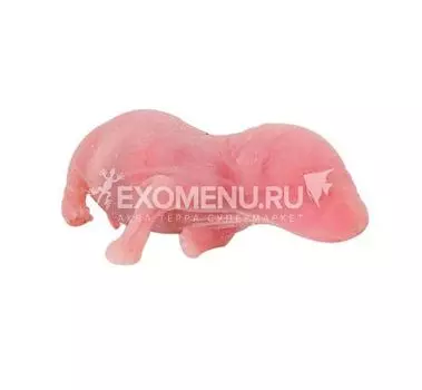 Мышь новорожденная