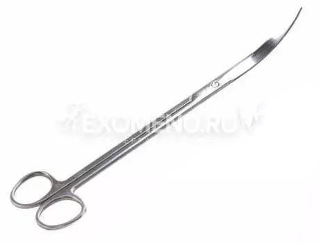 Ножницы черные профессиональные, из нержавеющей стали, с закругленными ножами, для формирования растений