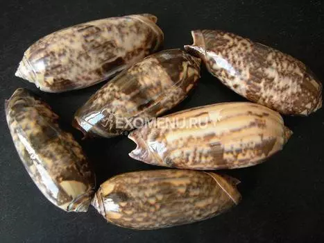 Оливия микс 3-4"