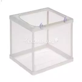 Отсадник для рыб 16х15х15 см