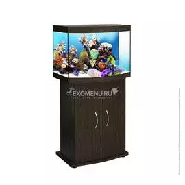 ПАНОРАМА 60 (венге) без свет-ка с покр.крышками стPilkington Optifloat(пол.евр)4-5мм 58л 56*32*44см (шт.)