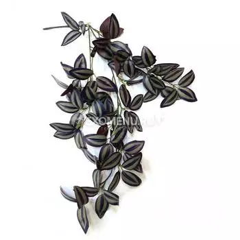 Подвесное растение красное на присоске, 50 см