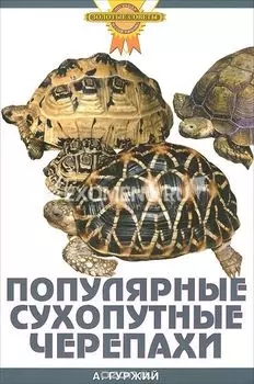 ПОПУЛЯРНЫЕ СУХОПУТНЫЕ ЧЕРЕПАХИ.(цвет)