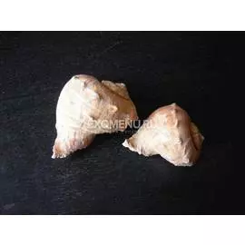 Рапан Булбоса №5