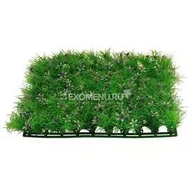 Растение 0529 "Коврик цветущий", 250*250*50мм