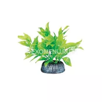 Растение 0806 "Альтернантера" зеленая, 80мм, (пакет)