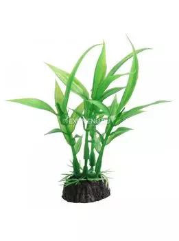 Растение 1029LD "Гигрофила" зеленая, 100мм, (пакет)