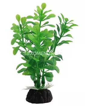 Растение 1030LD "Альтернантера" зеленая, 100мм, (пакет)