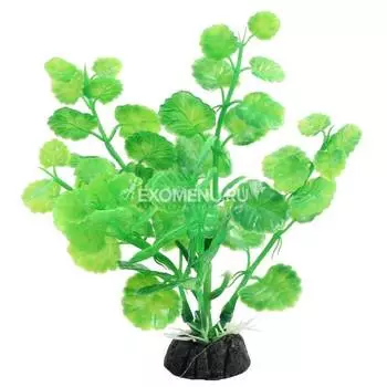 Растение 1033LD "Щитолистник" зеленый, 100мм, (пакет)