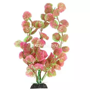 Растение 1034LD "Щитолистник" розово-зеленый, 200мм, (пакет)