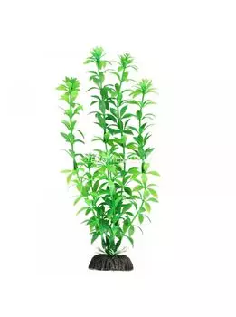 Растение 1048LD "Гемиантус" зеленый, 200мм, (пакет)