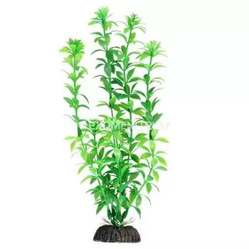 Растение 1050LD "Гемиантус" зеленый, 400мм, (пакет)