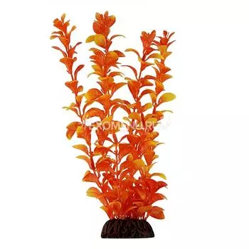 Растение 13035 "Людвигия" оранжевая, 100мм, (пакет)