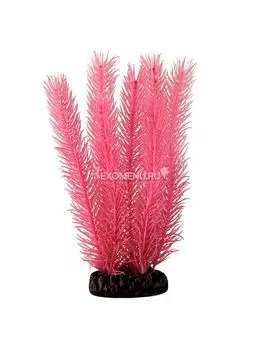 Растение 13142Y светящееся "Кабомба" красная, 130мм, (блистер)