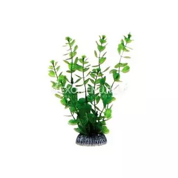 Растение 1990 "Бакопа" зеленая, 200мм, (пакет), Laguna