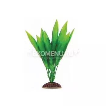 Растение 1994 "Эхинодорус" зеленый, 200мм, (пакет)