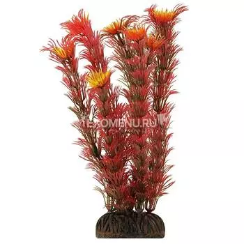 Растение 1999 "Амбулия" красная, 200мм, (пакет), Laguna