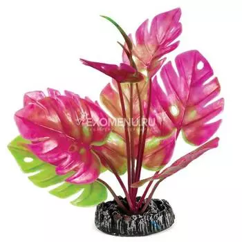 Растение 20152 "Монстера", 200мм, Laguna