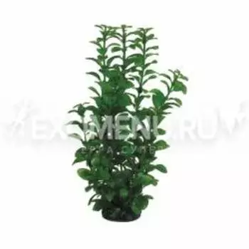 Растение 2953 "Людвигия" зеленая, 300мм, (пакет)