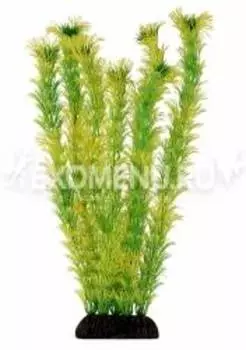 Растение 2956 "Амбулия" жёлто-зеленая, 300мм, (пакет)