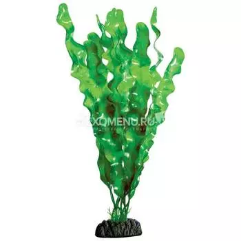 Растение 3092 "Ламинария зеленая", 300 мм, Laguna