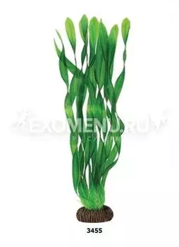 Растение 3455 "Валлиснерия" зеленая, 350мм, (пакет)
