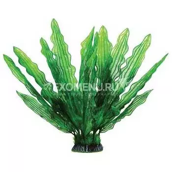 !Растение 40002AP с распылителем "Увирандра" зеленая, 400мм, (блистер), Laguna