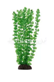 Растение 4673 "Бакопа" зеленая, 400мм, (пакет), Laguna