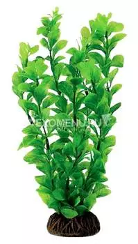 Растение 4689 "Людвигия" зеленая, 400мм, (пакет), Laguna