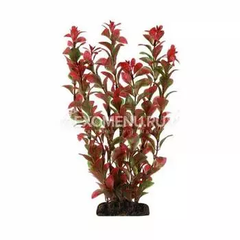 Растение 4690 "Людвигия" красная, 400мм, (пакет), Laguna