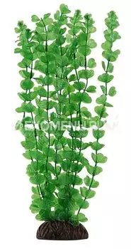 Растение 5558 "Бакопа" зеленая, 500мм, (пакет), Laguna
