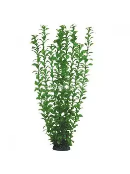 Растение 5576 "Людвигия" зеленая, 500мм, (пакет), Laguna