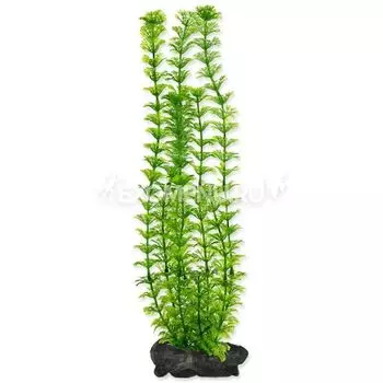 Растение аквариумное Ambulia (L) 30 см. с утяжелителем 270473