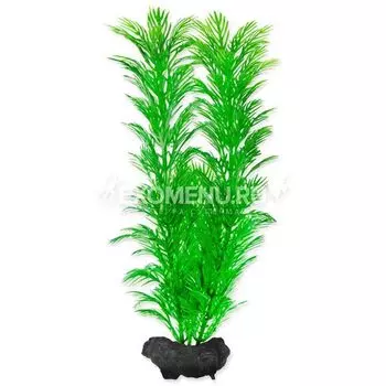 Растение аквариумное Green Cabomba (M) 23 см. с утяжелителем 270626