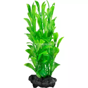 Растение аквариумное Hygrophila (L) 30см. с утяжелителем 270565