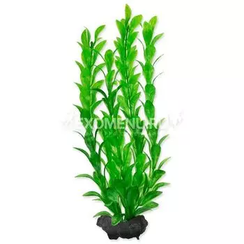 Растение аквариумное Hygrophila (M) 23см. с утяжелителем 270381