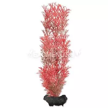 Растение аквариумное Red Foxtail (M) 23 см. с утяжелителем 270411