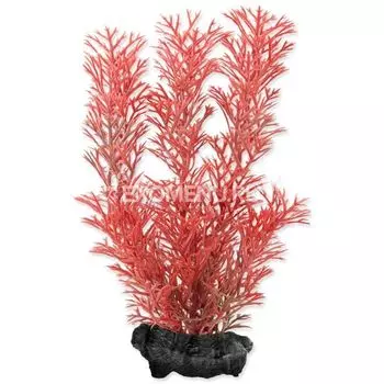 Растение аквариумное Red Foxtail (S) 15 см. с утяжелителем 270268