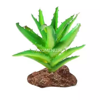 Растение "Алоэ", 95*60*130мм, Laguna