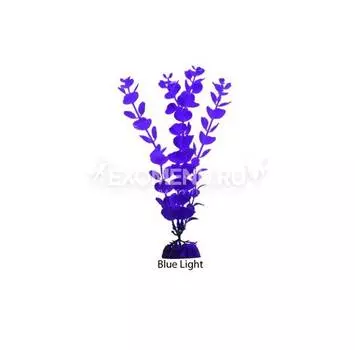 Растение флуоресцирующее GloFish L 29 см синее (меняет цвет в УФ-свете)