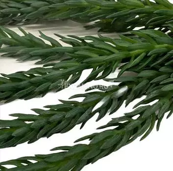 Растение искусственное "Тилландсия люкс"